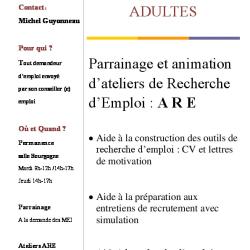 Fiche IP1 Insertion professionelle