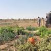 2019 03 potagers et cuve